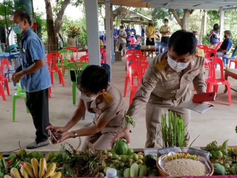 ต้อนรับคณะประเมิณพันธ์ข้าว