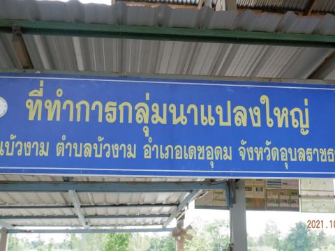 ต้อนรับคณะประเมิณพันธ์ข้าว